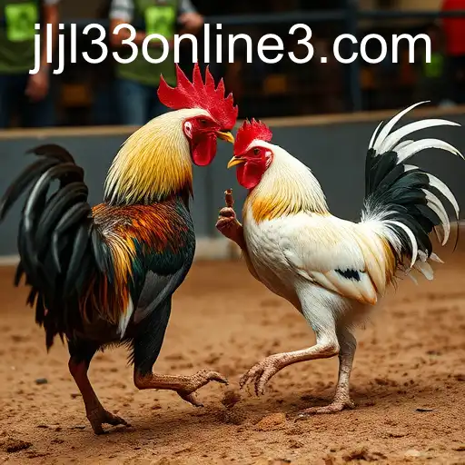 Exploring the World of Online Sabong: The Role of JLJL33 Online